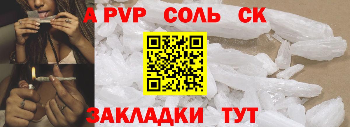 A PVP СК КРИС Брянск
