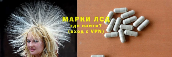 гидра Кущёвская