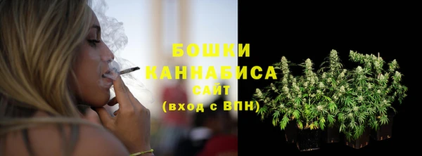 МДПВ Новосибирск