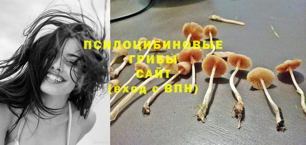 гидра Кущёвская