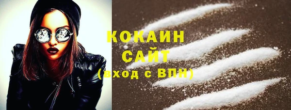 гидра Кущёвская