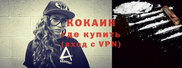 гидра Кущёвская