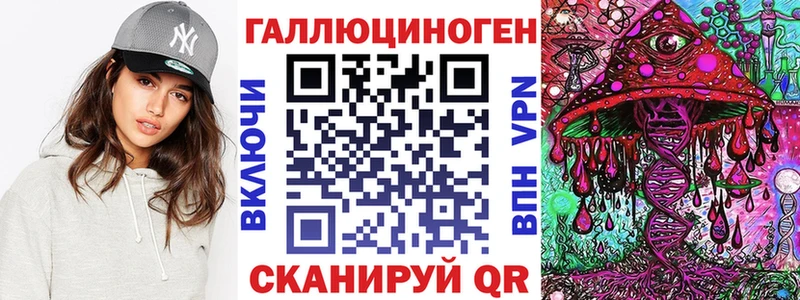 Псилоцибиновые грибы Psilocybe  mega tor  Брянск  закладка 
