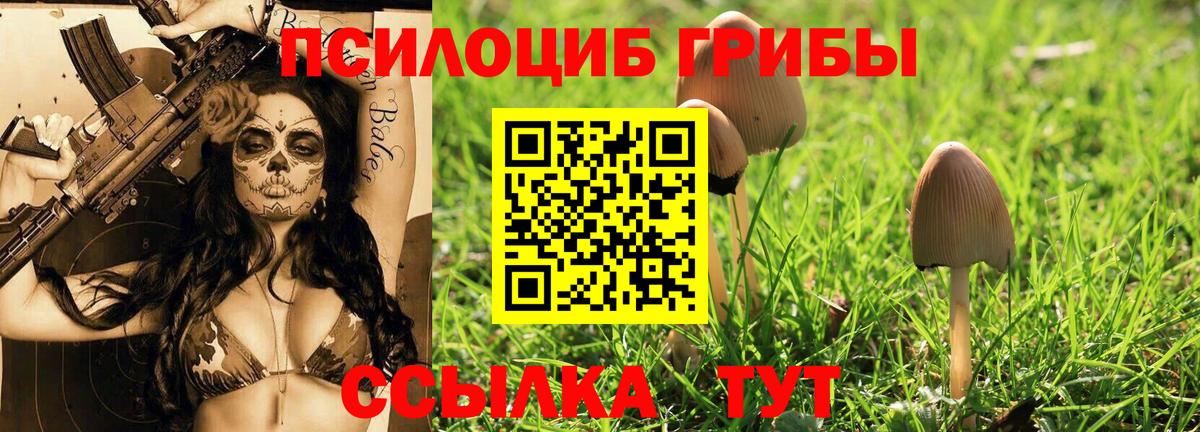Галлюциногенные грибы мухоморы Брянск