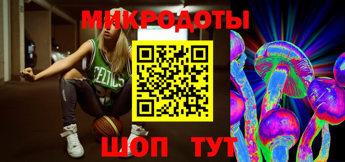 Брянск  Псилоцибиновые грибы Psilocybine cubensis  Вход с VPN 
