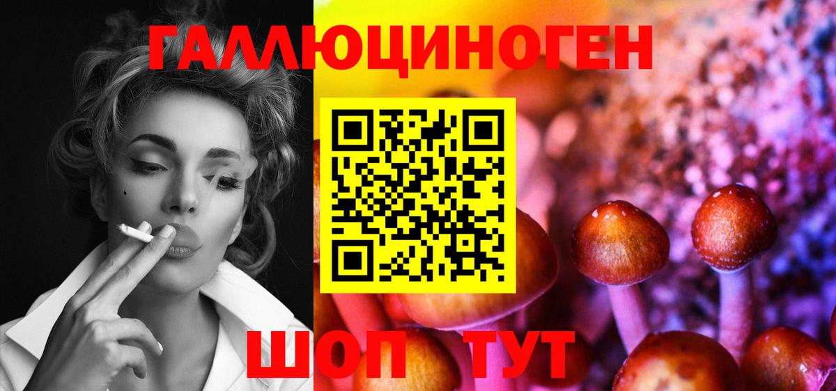 Псилоцибиновые грибы GOLDEN TEACHER Брянск